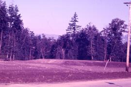 Miller Park off Oakview Street