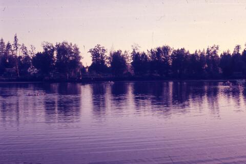 Open original Photographs and Documents