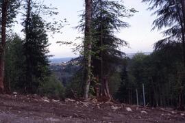 Eagle Ridge subdivision