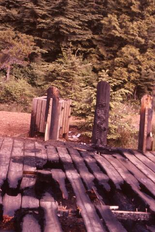 Open original Photographs and Documents