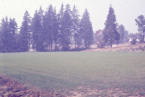 Open original Photographs and Documents