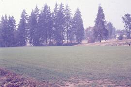 Brookmere Park