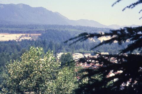 Open original Photographs and Documents
