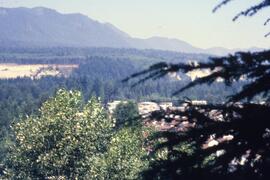 Riversprings