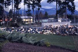 Garbage strike