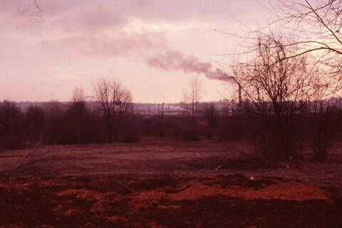 Open original Photographs and Documents