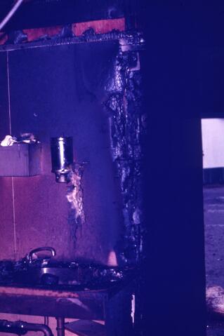 Open original Photographs and Documents