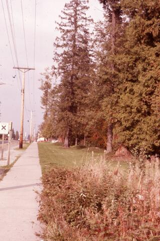 Open original Photographs and Documents