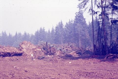 Open original Photographs and Documents