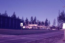 Chimo Pool