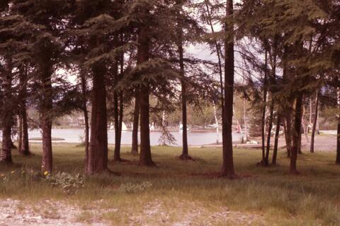 Open original Photographs and Documents