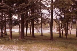Como Lake Park