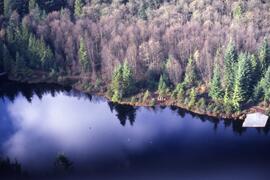 Mundy Lake