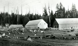 Booth Dairy Farm