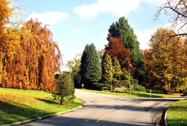 Riverview grounds in autumn