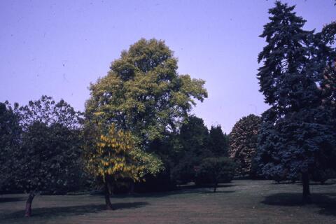 Open original Photographs and Documents
