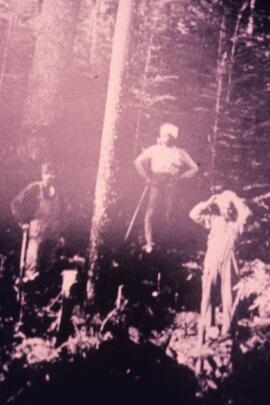 South Asian men in the woods