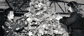 Coquitlam Library employees lighting Xmas tree
