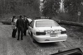 Two men talk to police after being stalked by a cougar near Quary Road