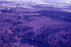 Aerial of Mundy Lake
