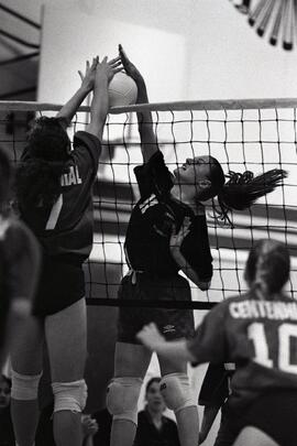 Volleyball girls - Terry Fox vs. Centennial.