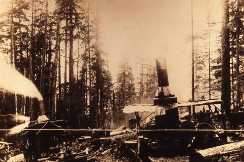 Open original Photographs and Documents