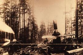 Steam powered equipment with chopped down trees