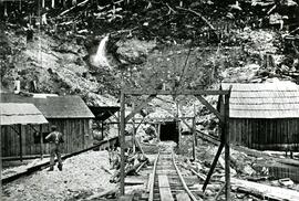 Trout Lake tunnel