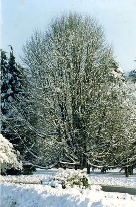 Riverview grounds in winter