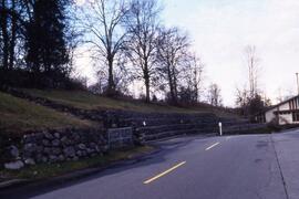 Road on the Riverview grounds