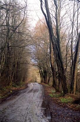 Road on the Riverview grounds