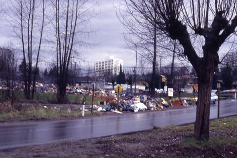 Open original Photographs and Documents