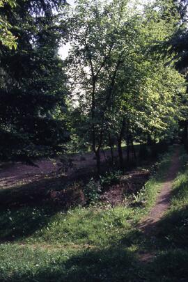 Pathway on the Riverview grounds