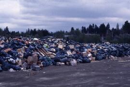 Garbage strike - 1981