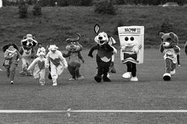 The newspaper mascot race at The Teddybear Picnic at Town Centre Stadium