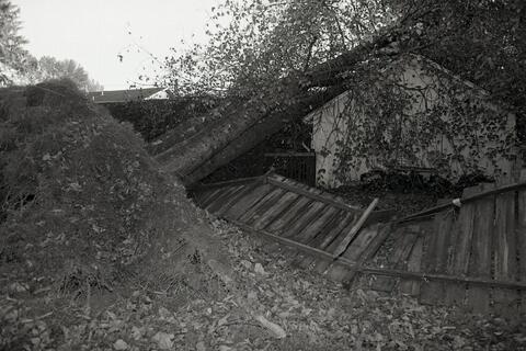 Open original Photographs and Documents