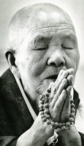 Open original Photographs and Documents