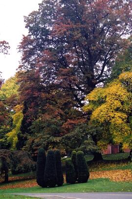 Riverview grounds in autumn