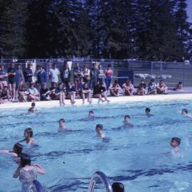 Blue Mountain Pool