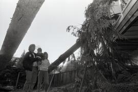 House on Viewmount Dr. with many large trees fallen on it - owners Rod and Chris Trott, tree service guy Al Fletcher