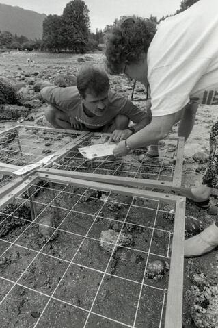 Open original Photographs and Documents