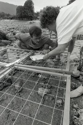 Quadrat study on the beach at Belcarra Regional Park