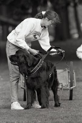 Marion McCool and her Newfoundland dog, Storm