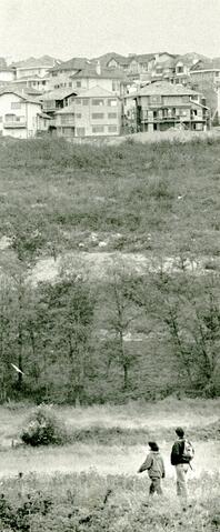 Open original Photographs and Documents
