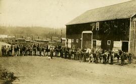 Fraser Mills horse teams
