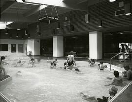 Chimo Pool