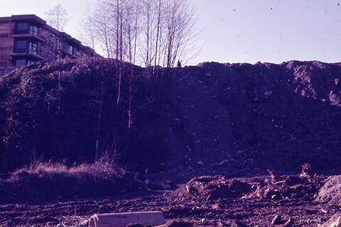 Open original Photographs and Documents