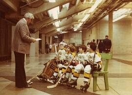 Minor League Hockey