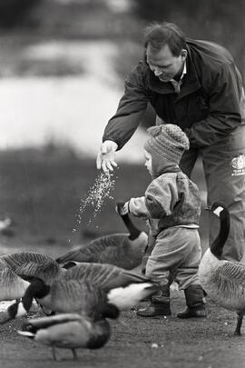 Phil and Torin Chambers feeding ducks at Como Lake.