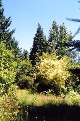Riverview grounds
